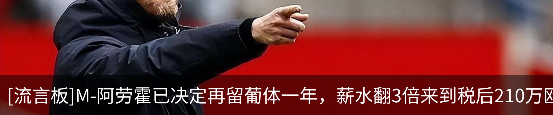 最新动态